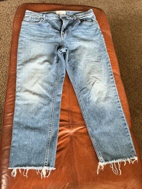 Everlane cheeky Jean